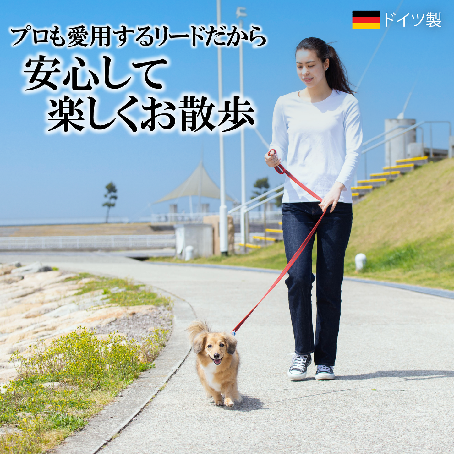 \公式/ 犬 リード【ドイツ製 SPORTHUND】日本正規代理店