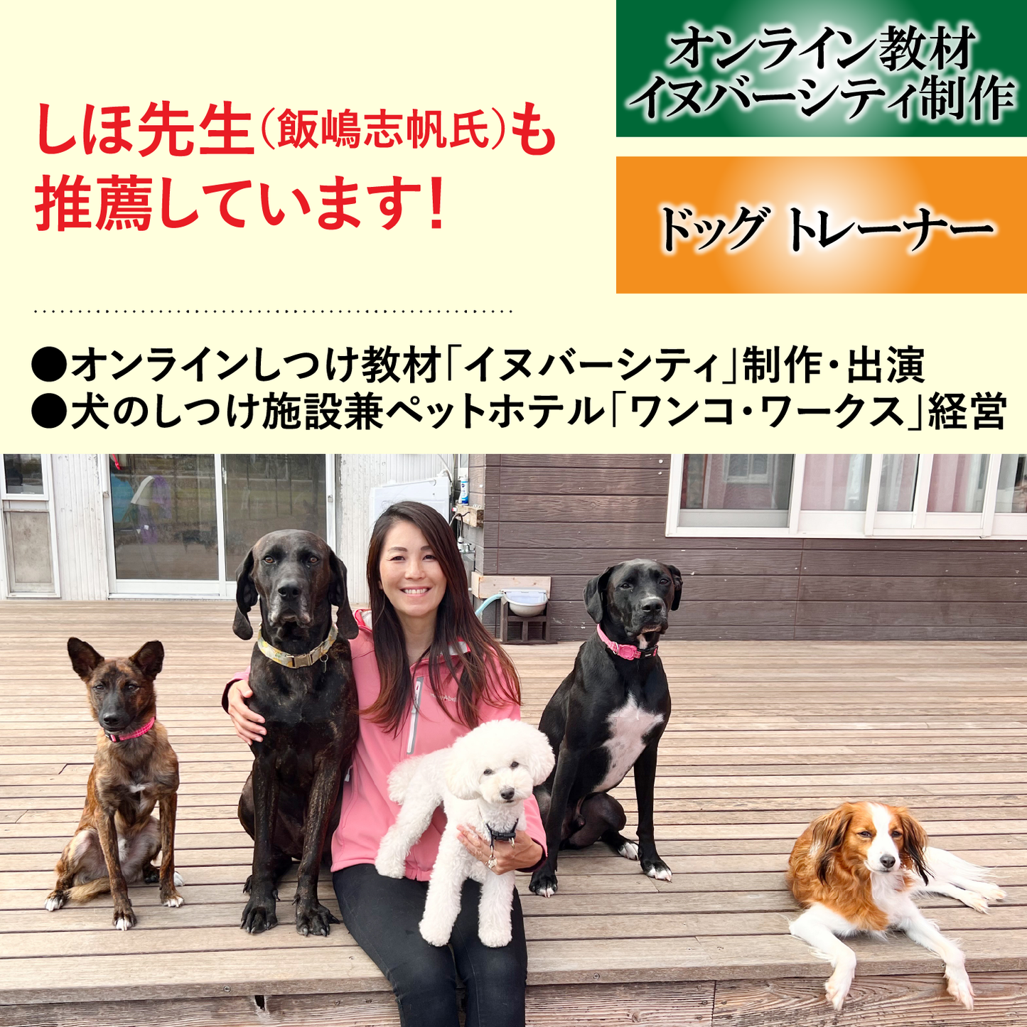 \公式/ 犬 リード【ドイツ製 SPORTHUND】日本正規代理店
