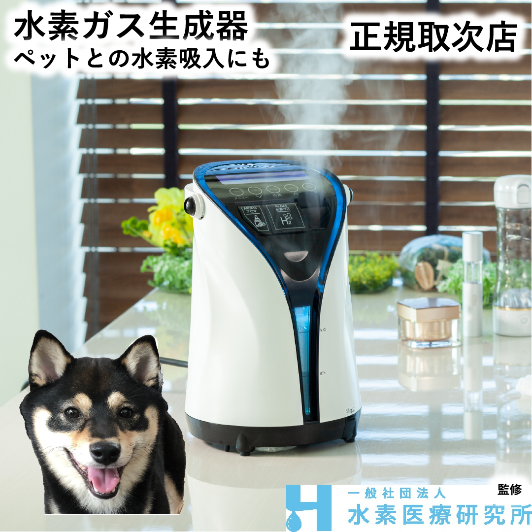 リタエア 水素ガス吸入 水素ガス吸入器 リタエアー 宮川 路子 先生 おすすめ