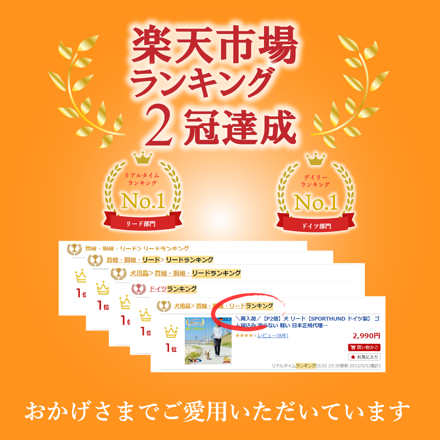 ＼公式／ 犬 リード【ドイツ製 SPORTHUND】日本正規代理店