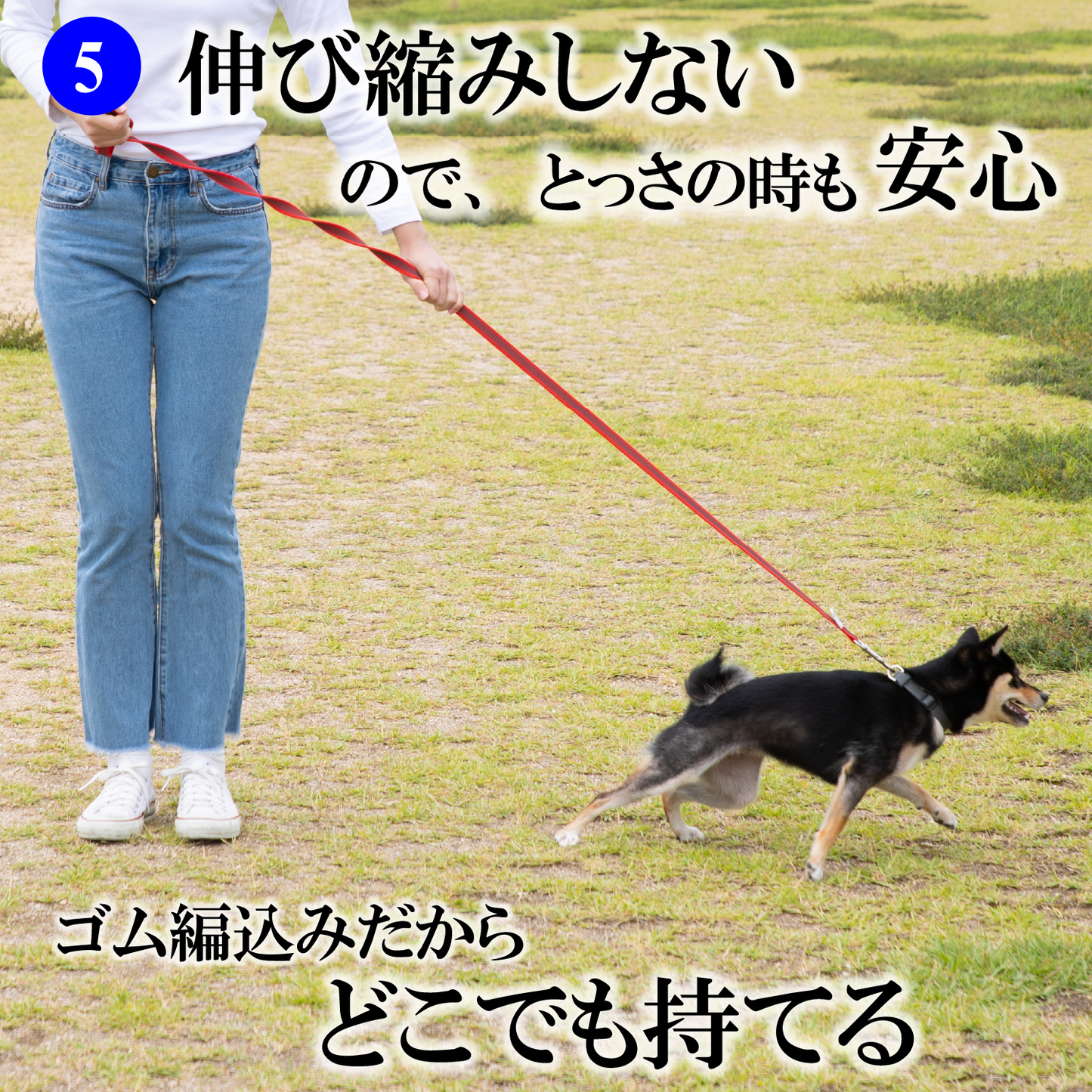＼公式／ 犬 リード【ドイツ製 SPORTHUND】日本正規代理店