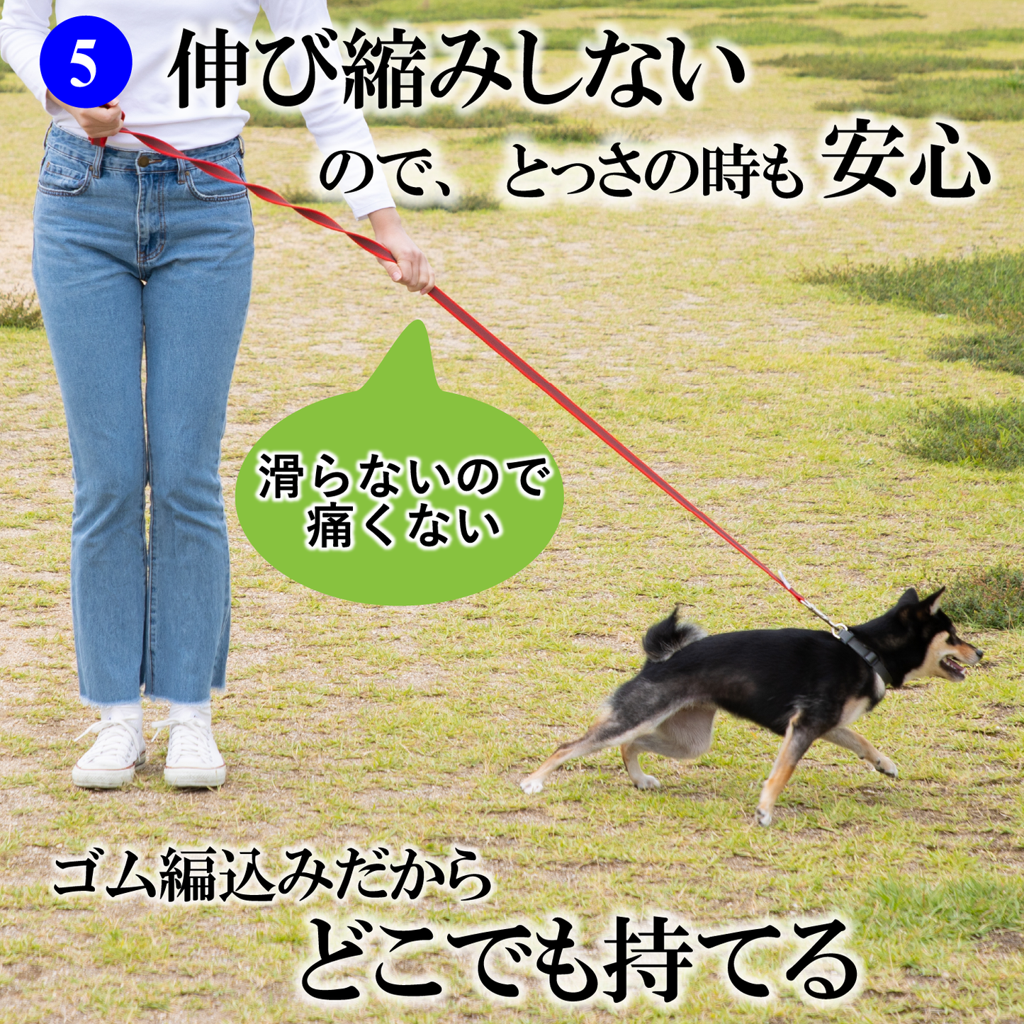 ＼公式／ 犬 リード【ドイツ製 SPORTHUND】日本正規代理店