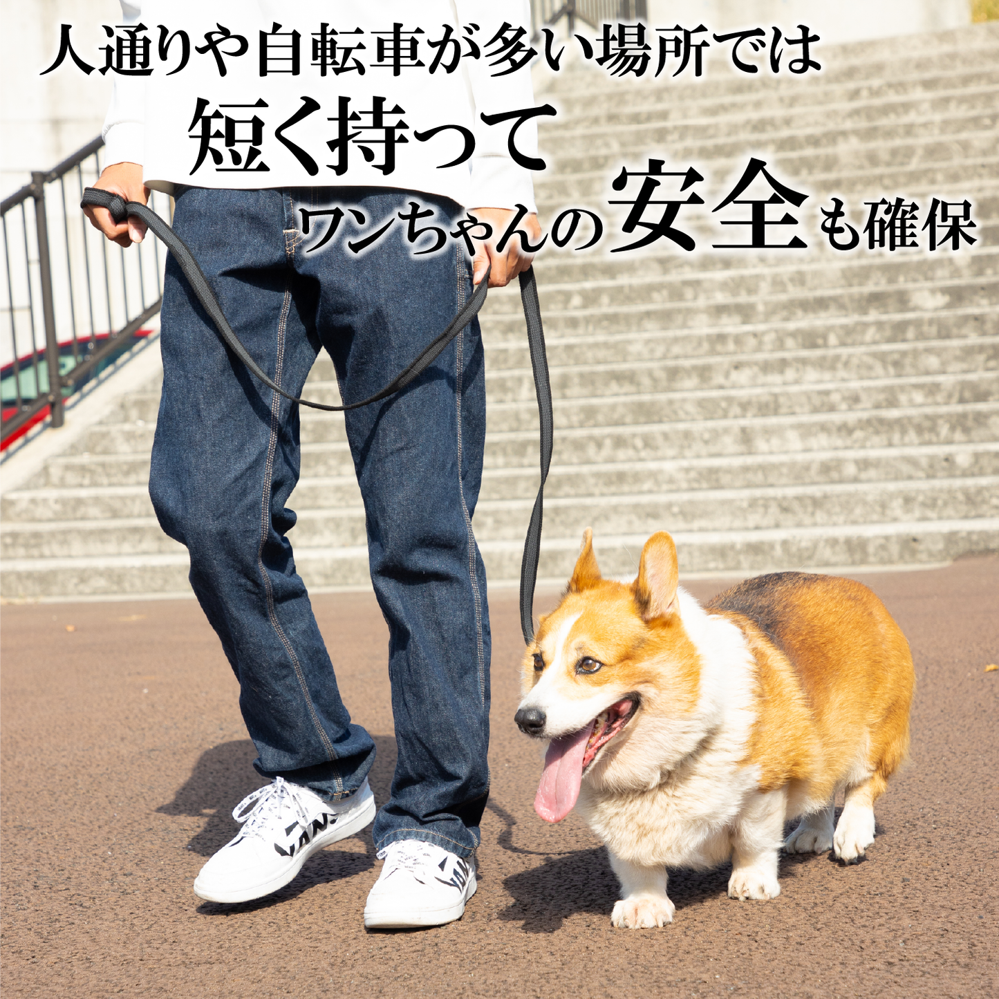 ＼公式／ 犬 リード【ドイツ製 SPORTHUND】日本正規代理店