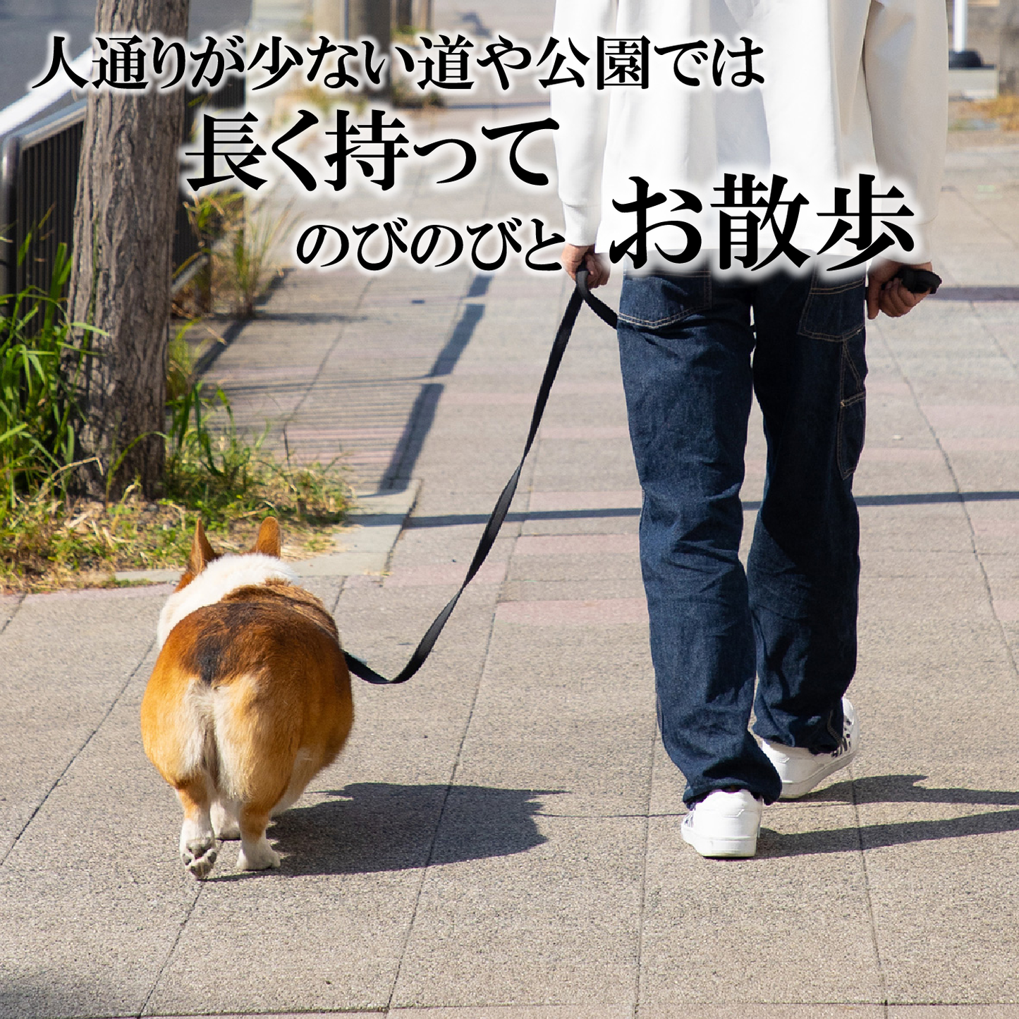 ＼公式／ 犬 リード【ドイツ製 SPORTHUND】日本正規代理店