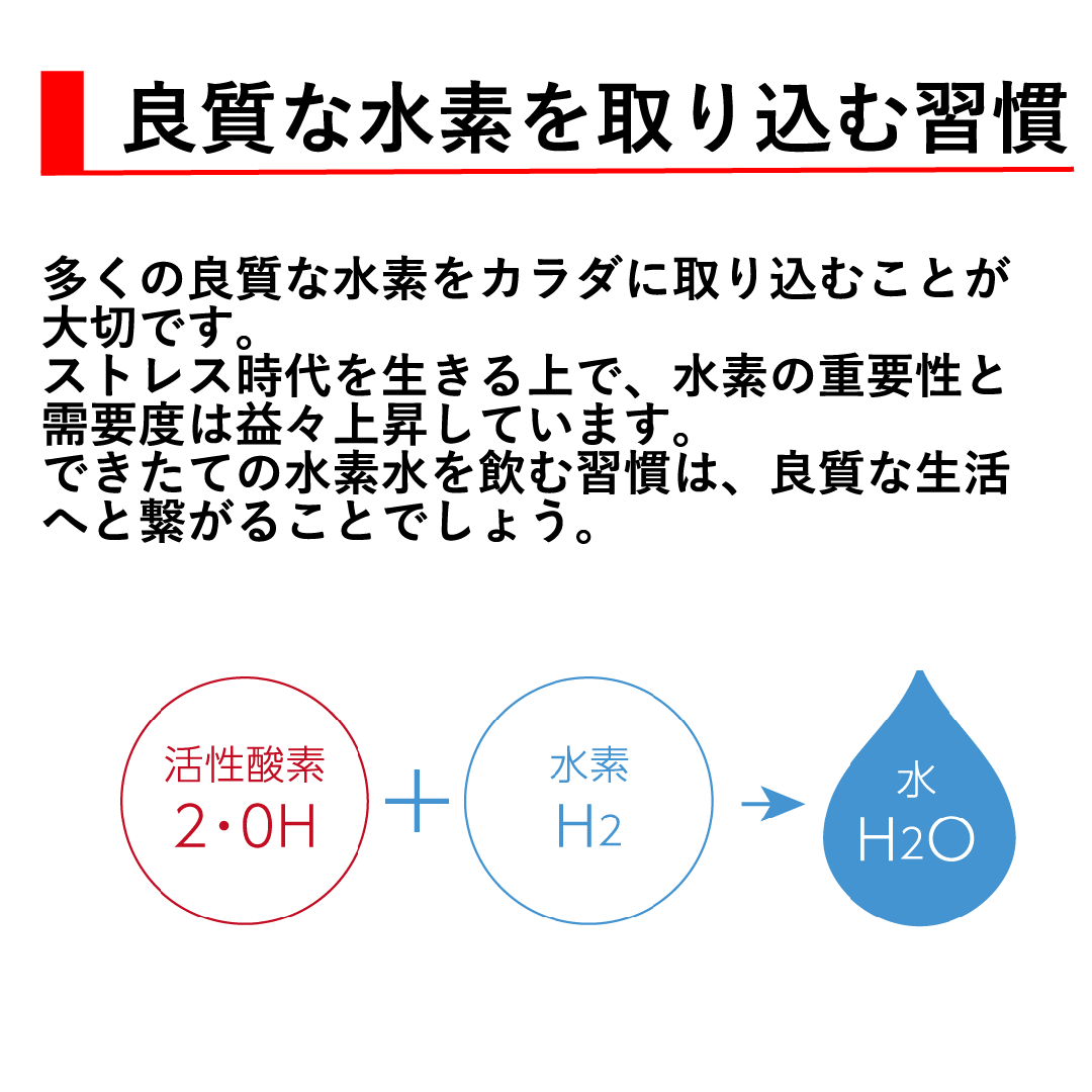 水素吸入器 リタ水素 デュアルボトル 【正規取次店】