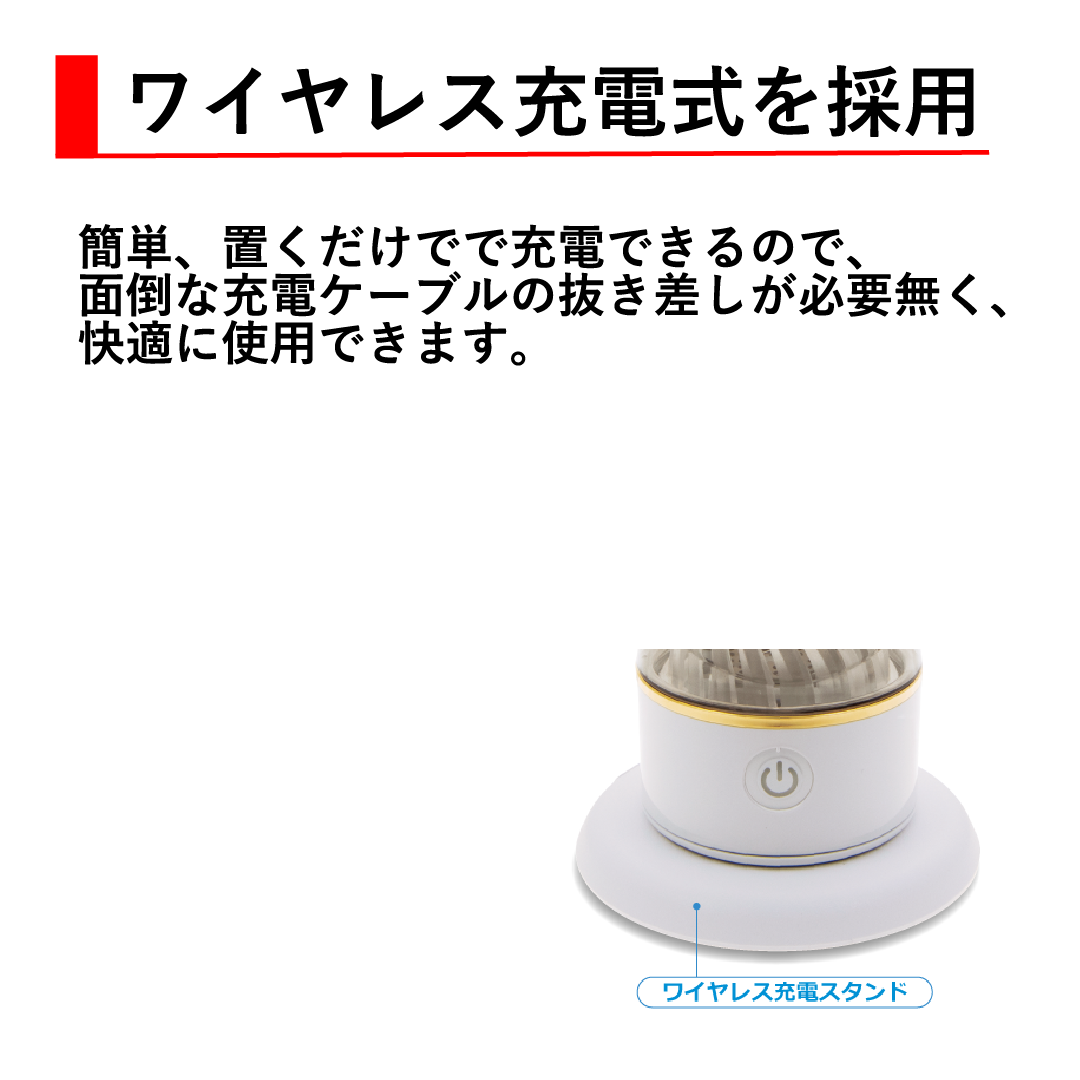 水素吸入器 リタ水素 デュアルボトル 【正規取次店】