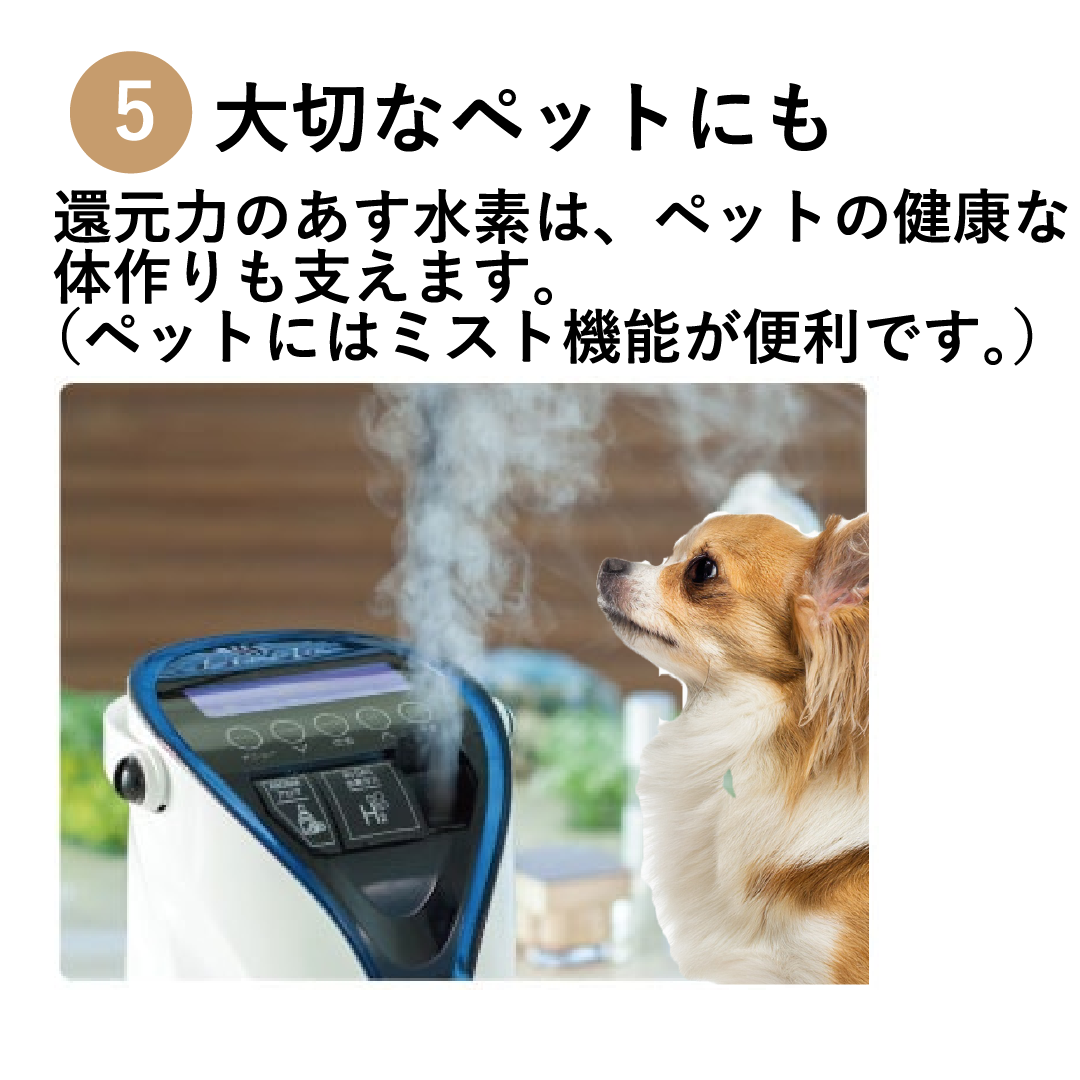 水素ガス発生器 リタエア 水素ガス吸入 未開封 水素ガス発生器 水素ガス発生器 リタエア 水素ガス吸入 未開封 水素ガス発生器