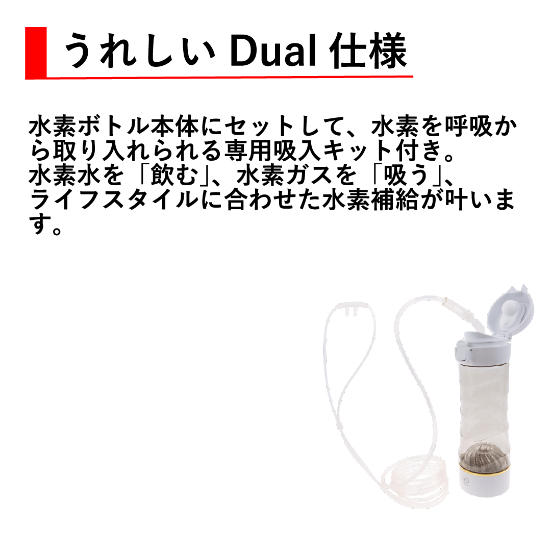 水素吸入器 リタ水素 デュアルボトル 【正規取次店】